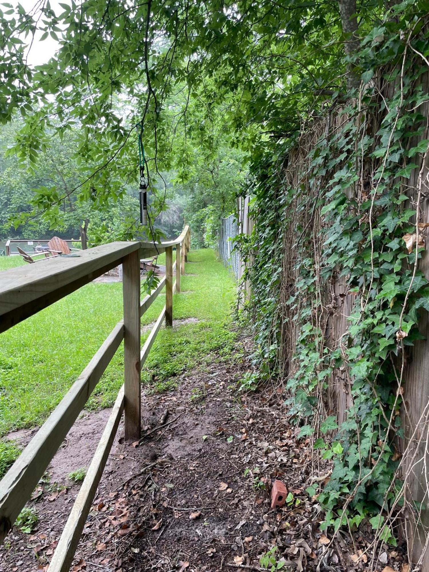 Pet Friendly Tiny House Rental With New Access To Guadalupe River Nbtx New Braunfels Exterior foto